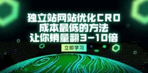 (10173期)独立站网站优化CRO,成本最低的方法,让你销量翻3-10倍(5节课)-优优云创网
