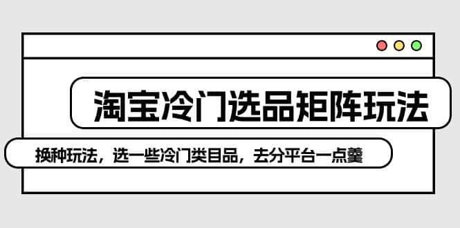 （10159期）淘宝冷门选品矩阵玩法：换种玩法，选一些冷门类目品，去分平台一点羹-优优云创网
