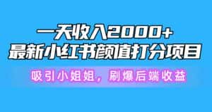 （10187期）一天收入2000+，最新小红书颜值打分项目，吸引小姐姐，刷爆后端收益-优优云创网