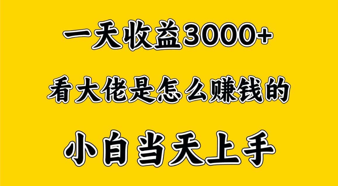 一天赚3000多，大佬是这样赚到钱的，小白当天上手，穷人翻身项目-优优云创网