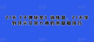 21天《子弹秘密》训练营,21天学到顶尖文案大师的策略和技巧-优优云创
