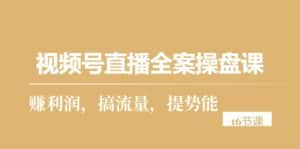 （10207期）视频号直播全案操盘课，赚利润，搞流量，提势能（16节课）-优优云创