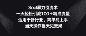 Soul暴力引流术，一天轻松引流100＋精准流量，适用于各行业，简单易上手！-优优云创网