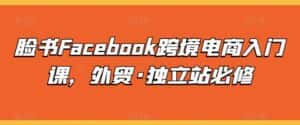 脸书Facebook跨境电商入门课,外贸·独立站必修-优优云创网
