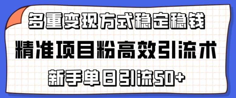 精准项目粉高效引流术，新手单日引流50+，多重变现方式稳定赚钱-优优云创网
