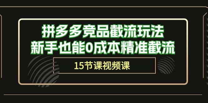 (10301期)拼多多竞品截流玩法,新手也能0成本精准截流(15节课)-优优云创网