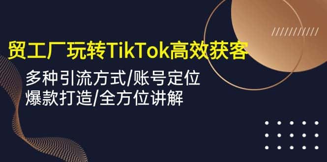 （10302期）外贸工厂玩转TikTok高效获客，多种引流方式/账号定位/爆款打造/全方位讲解-优优云创网
