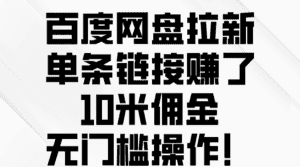 （10304期）百度网盘拉新，单条链接赚了10米佣金，无门槛操作！-优优云创网
