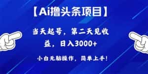 （10334期）Ai撸头条，当天起号，第二天见收益，日入3000+-优优云创