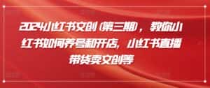 2024小红书文创(第三期)，教你小红书如何养号和开店，小红书直播带货卖文创等-副业吧