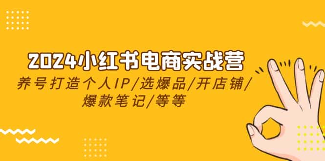 2024小红书电商实战营，养号打造IP/选爆品/开店铺/爆款笔记/等等（24节）-优优云创网