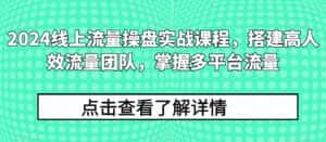 2024线上流量操盘实战课程，搭建高人效流量团队，掌握多平台流量-优优云创