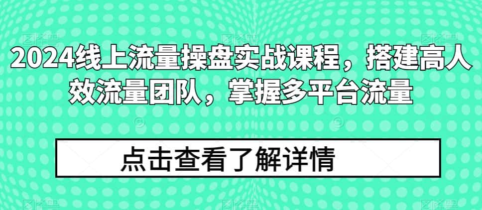 2024线上流量操盘实战课程，搭建高人效流量团队，掌握多平台流量-优优云创网