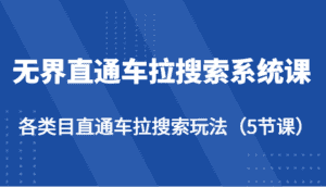 无界直通车拉搜索系统课-各类目直通车拉搜索玩法(5节课)-副业吧