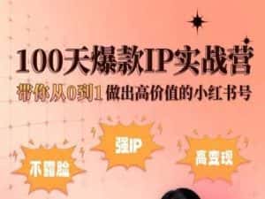 小红书100天爆款IP实战营，带你从0到1做出高价值的小红书号-优优云创网