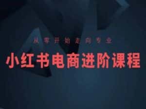 从零开始走向专业,小红书电商进阶课程-优优云创