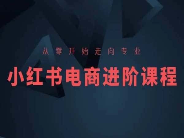 从零开始走向专业,小红书电商进阶课程-优优云创