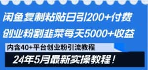 闲鱼复制粘贴日引200+付费创业粉，24年5月最新方法！割韭菜日稳定5000+收益-优优云创