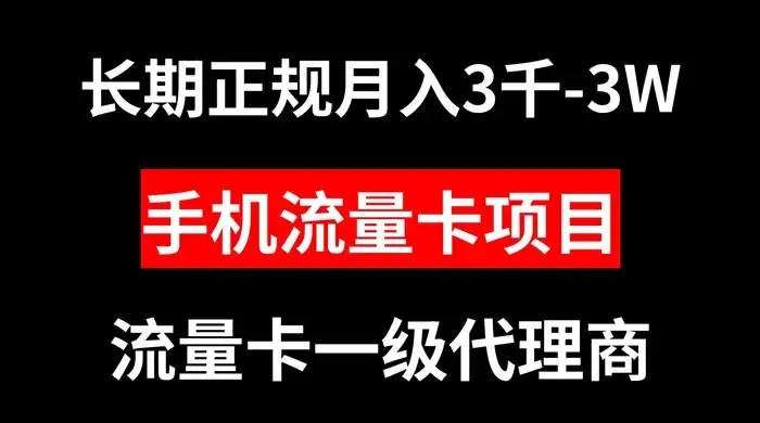 手机流量卡代理月入 3000-3w 长期正规项目-副业吧