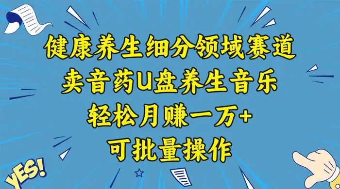 健康养生细分领域赛道，卖音药U盘养生音乐，轻松月赚一万+，可批量操作-优优云创