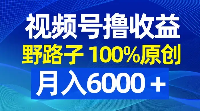 视频号野路子撸收益，100% 原创，条条爆款，月入 6000+-优优云创网