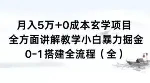 月入 5 万+ 0 成本玄学项目，全方面讲解教学，0-1 搭建全流程（全）小白暴力掘金-优优云创