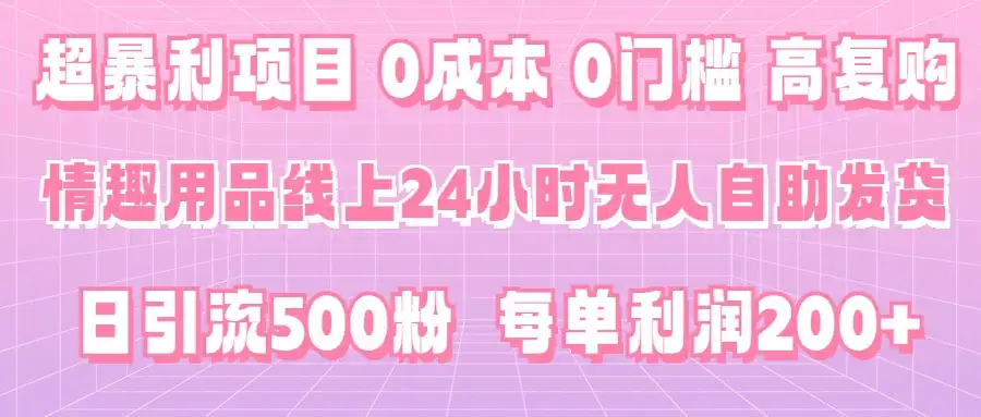 超暴利项目，情趣用品线上24小时-无人自助发货，0成本，0门槛，高复购，有手就能做，日引500粉，每单利润200+-优优云创网