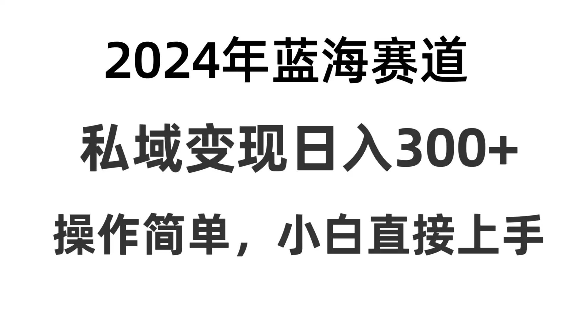2024抖音蓝海赛道，私域变现日入300+，操作简单，每年只需一小时，纯小白可直接上手-优优云创网