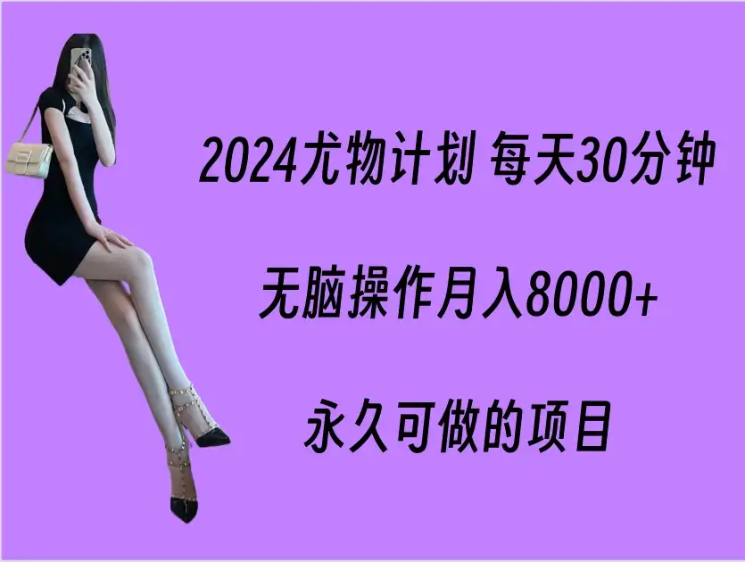 2024尤物计划 每天30分钟，无脑操作月入8000+，永久可做的项目-优优云创