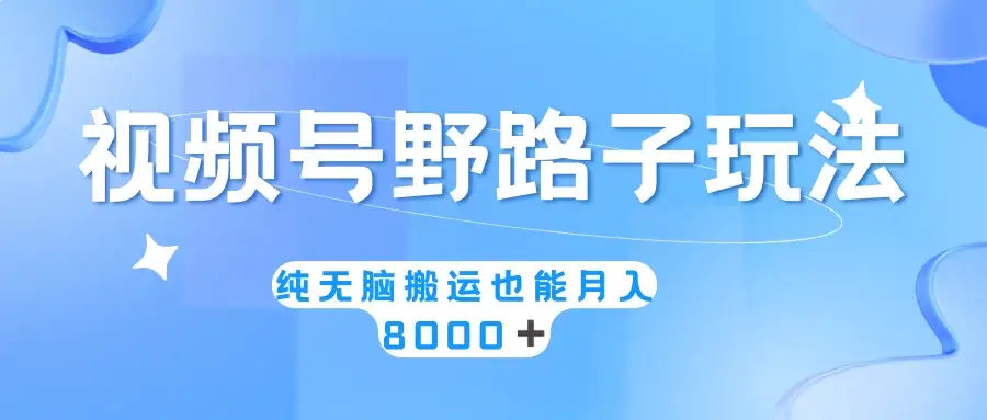 视频号野路子玩法，纯无脑搬运小白可做，月入8000+-优优云创