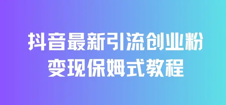 抖音最新引流创业粉+变现保姆式教程 直接无脑套模板即可-优优云创