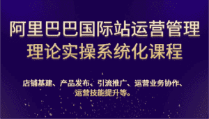 阿里巴巴国际站运营管理理论实操系统化课程：基建、发布、推广、协作、技能提升等-副业吧