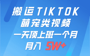 一键搬运TIKTOK萌宠类视频，一部手机即可操作，所有平台均可发布 轻松月入5W+-优优云创