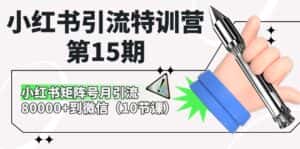 小红书引流特训营第15期，小红书矩阵号月引流80000+到微信（10节课）-优优云创