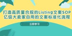 （10585期）打造高质量合规Listing文案SOP，亿级大卖家自用的文案标准化流程-优优云创