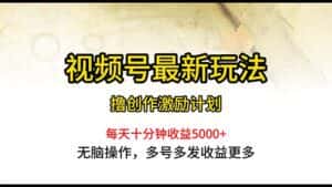 （10591期）视频号最新玩法，每日一小时月入5000+-优优云创