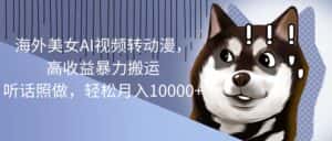 （10593期）海外美女AI视频转动漫，高收益暴力搬运，听话照做，轻松月入10000+-优优云创