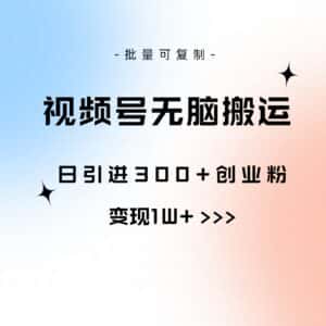 （10612期）视频号无脑搬运日引300+创业粉，变现1W+可批量复制-副业吧