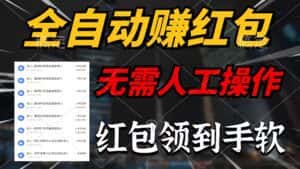 （10624期）全自动赚红包，无需人工操作，100%出收益，赚不到请你打死我-优优云创