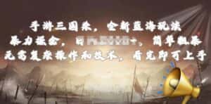 手游三国杀最新蓝海玩法，简单粗暴，无需复杂的操作和技术，看完即可上手-优优云创