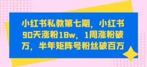 小红书私教第七期，小红书90天涨粉18w，1周涨粉破万，半年矩阵号粉丝破百万-优优云创