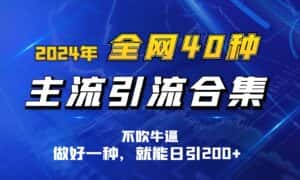 2024年全网40种暴力引流合计，做好一样就能日引100+-优优云创