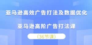 亚马逊高效广告打法及数据优化，亚马逊高阶广告打法课（36节）-优优云创