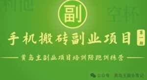 手机搬砖小副业项目训练营1.0，实测1小时收益50+，一部手机轻松日入100+-优优云创