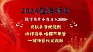 （10693期）2024蓝海项目，网盘拉新，操作简单小白日入2000+，一键托管代发视频，…-副业吧