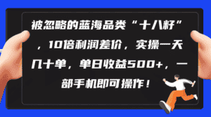 （10696期）被忽略的蓝海品类“十八籽”，10倍利润差价，实操一天几十单 单日收益500+-副业吧