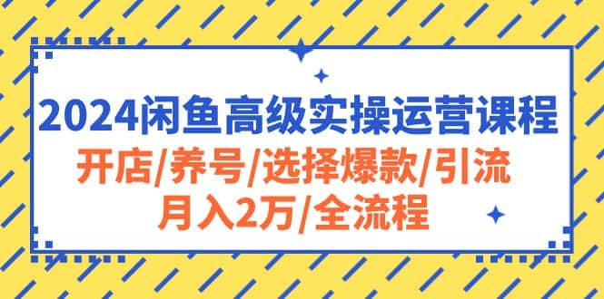 （10711期）2024闲鱼高级实操运营课程：开店/养号/选择爆款/引流/月入2万/全流程-优优云创