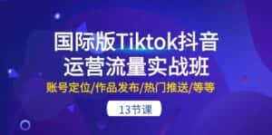 （10712期）国际版Tiktok抖音运营流量实战班：账号定位/作品发布/热门推送/等等-13节-优优云创