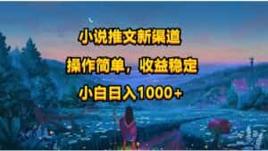 小说推文新玩法，操作简单，收益稳定，日入1000+-优优云创