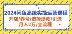 2024闲鱼高级实操运营课程:开店/养号/选择爆款/引流/月入2万/全流程-副业吧